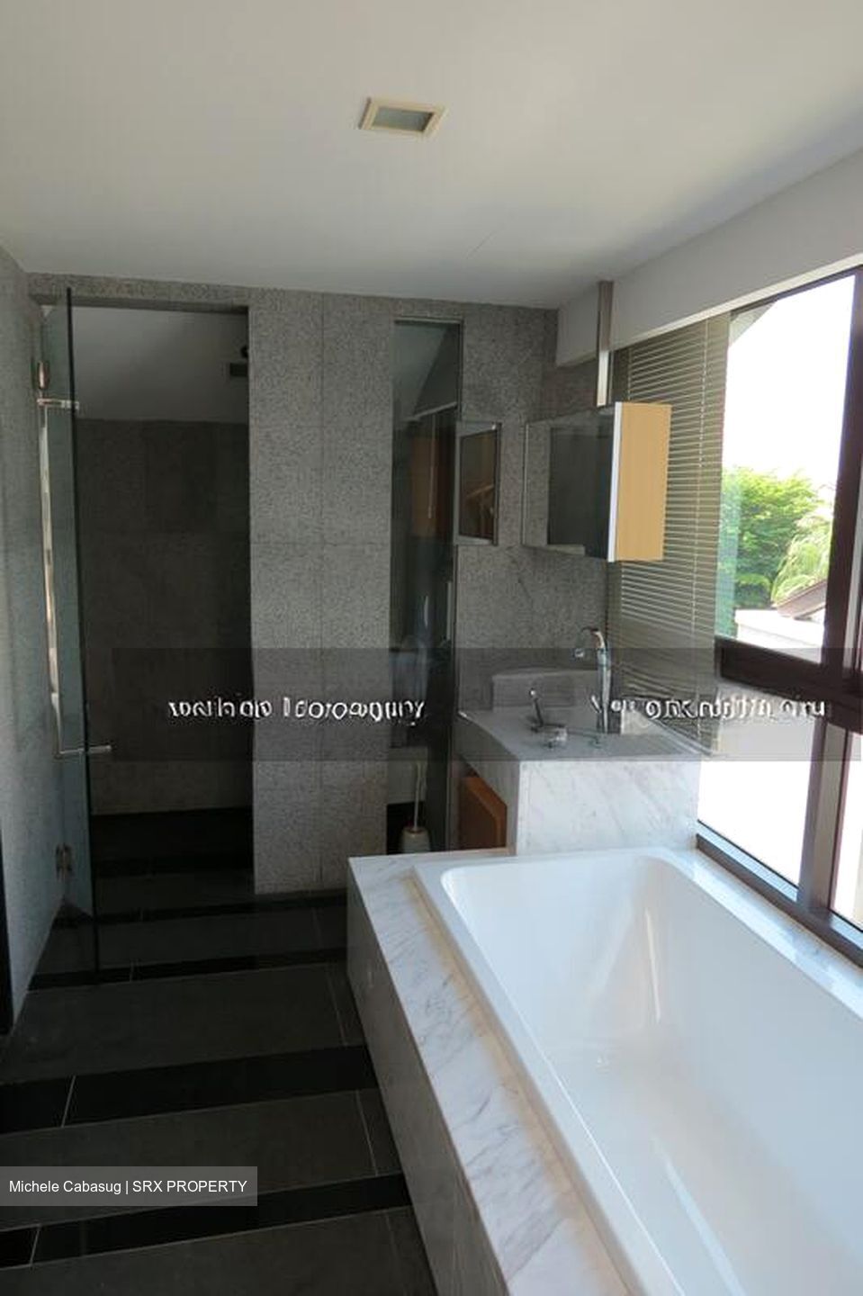 Harbourfront Avenue (D4), Detached #496903051